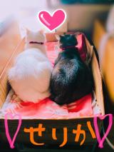 待機してます🌸