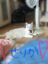 よかったー( ᵕᴗᵕ )