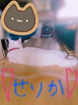 暑いですね😖💦