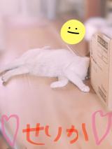 こんばんは｡ﾟ(;˘ω˘)ﾟ｡