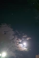 昨日は