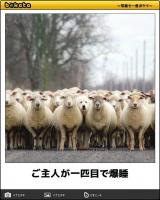 復活祭!!