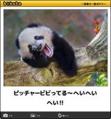 いざ参らん！