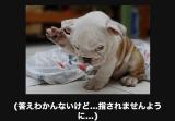 アソボ😊