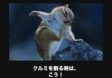 出ま〜す😊