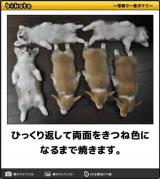 出ますよ|*･ω･)ﾁﾗｯ