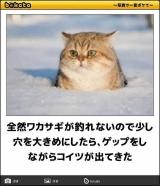 出ますよ〜😊
