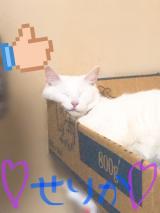 お知らせ( * ॑꒳ ॑*)