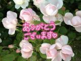 お礼です