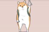 お久しぶりです