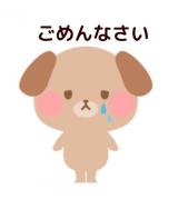 ごめんなさい｡ﾟ(ﾟ´Д｀ﾟ)ﾟ｡